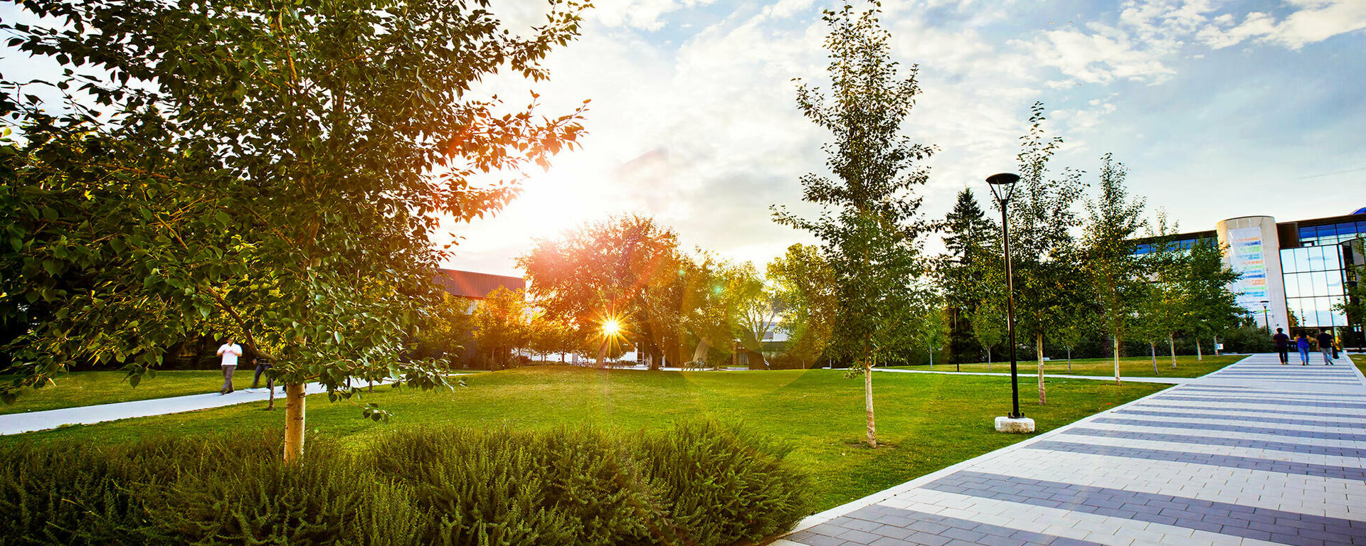 UCalgary main campus