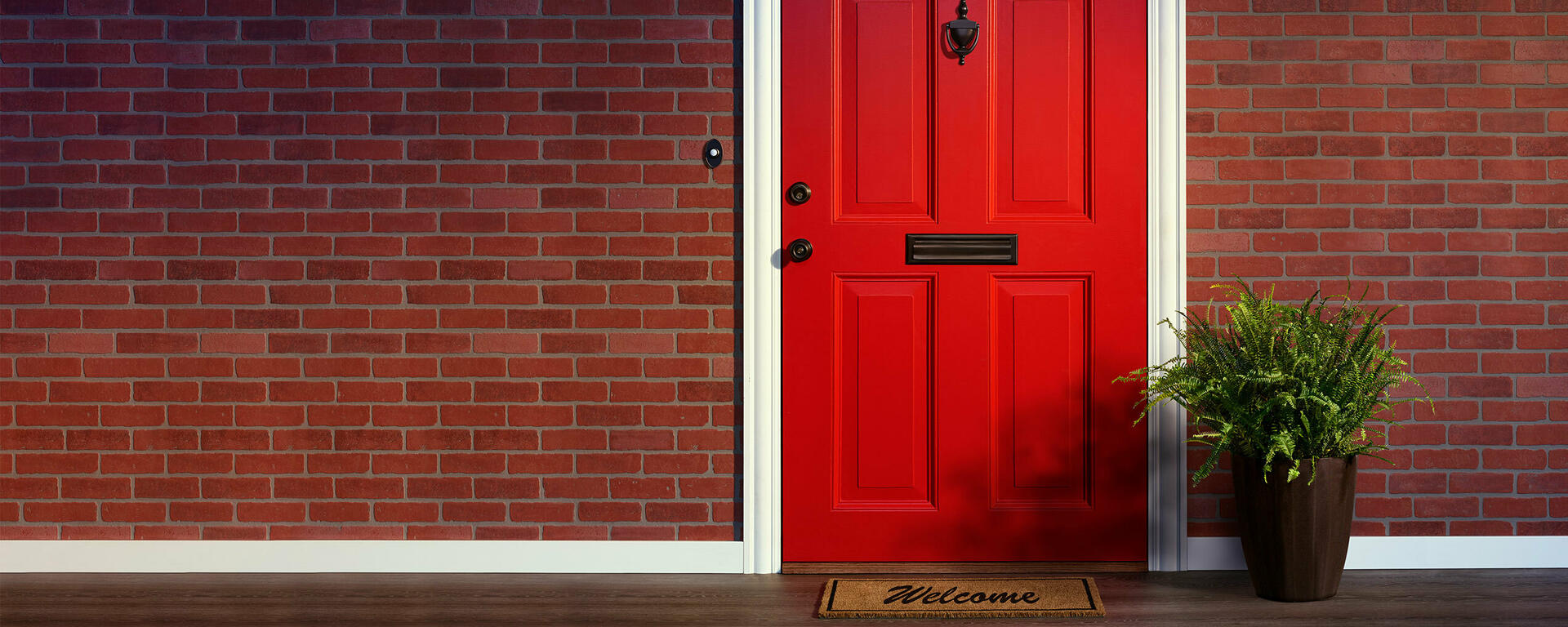 Front door of a home with a plant sitting beside it.