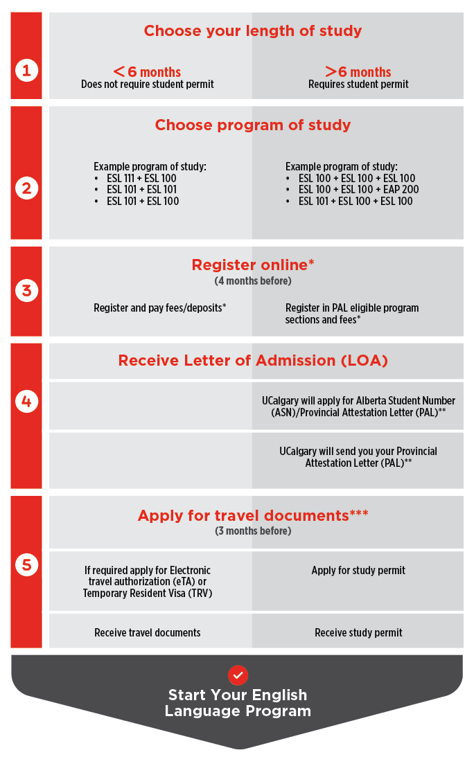 International Student Registration Process flowchart