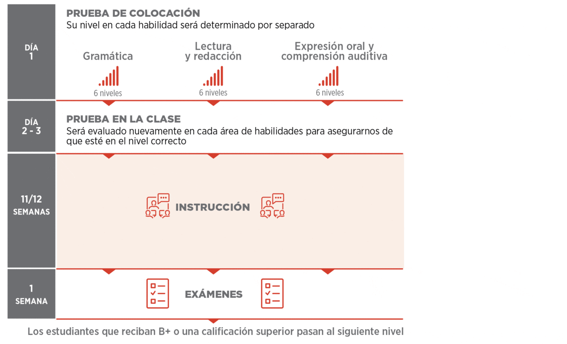 Programa Semestral