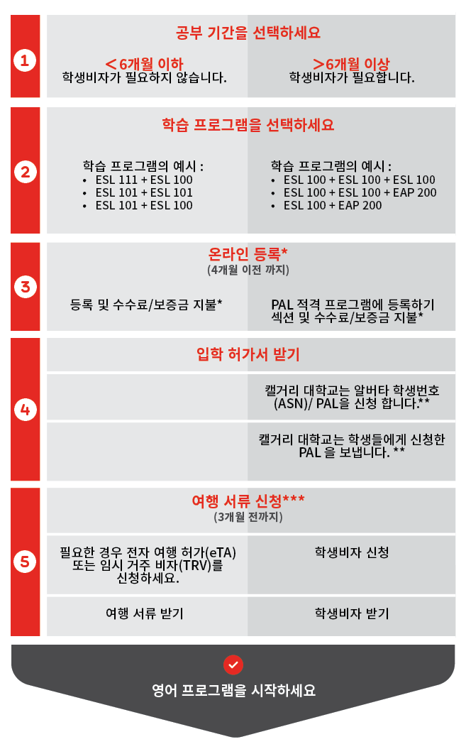 International Student Registration Process flowchart