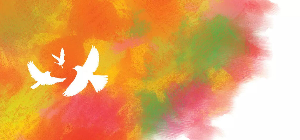 Sexual and Gender-Based Violence Prevention and Support Office