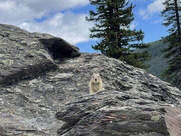 Banff Day Trip