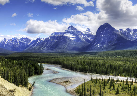 Optional Activity Program