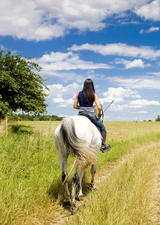 Horseback Riding Adventure in Cochrane