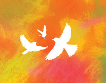 three white birds on a watercolour background